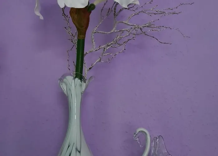 Kaiser Stella Apartment