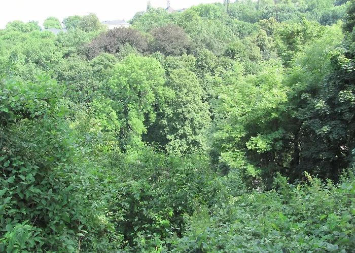 Kaiser Stella Apartment