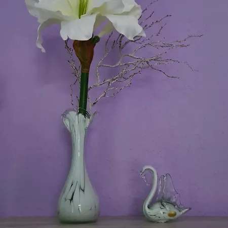 Kaiser Stella Apartman